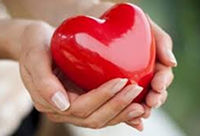 Фотографія Категорії Кардіопротекторні ліки