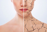 Фотографія Категорії Ліки при захворюваннях та пошкодженнях шкіри