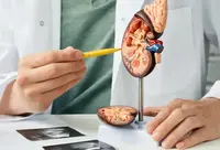 Фотографія Категорії Ліки в урології