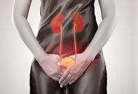 Фотографія Категорії Ліки при нетриманні сечі та частих позивах