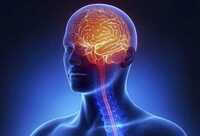 Фотографія Категорії Ліки для нервової системи