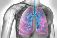 Фотографія Категорії Ліки при обструктивних захворюваннях легень