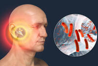 Фотографія Категорії Ліки для вух - Протимікробні