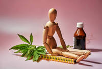 Фотографія Категорії Хондропротектори