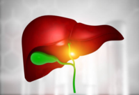 Фотографія Категорії Гепатопротектори