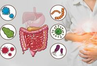 Фотографія Категорії Ліки від дисбактеріозу