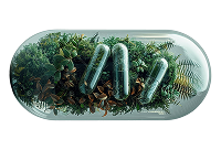 Фотографія Категорії Заспокійливі ліки