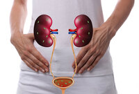 Фотографія Категорії Дієтичні добавки для зниження ризику загострення запалення