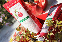 Фотографія Категорії Гранат