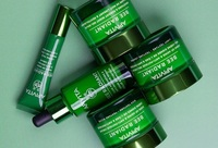 Фотографія Категорії Bee Radiant