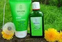 Фотографія Категорії Birke