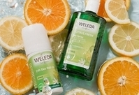 Фотографія Категорії Citrus