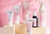 Фотографія Категорії Mandel