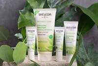 Фотографія Категорії Naturally Clear