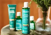 Фотографія Категорії Rosmarin