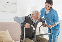 Фотографія Категорії Ортопедія та реабілітація