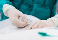 Фотографія Категорії Голка для підключичних катетерів