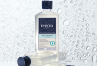 Фотографія Категорії Purifying