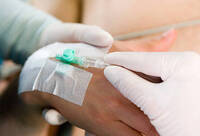 Фотографія Категорії Канюля