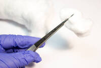 Фотографія Категорії Вата стерильна