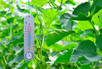 Фотографія Категорії Гігрометри