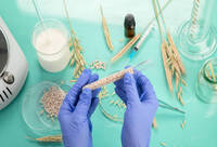 Фотографія Категорії Акарициди для елімінації алергенів