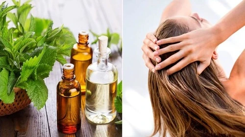 масла для волосся купити